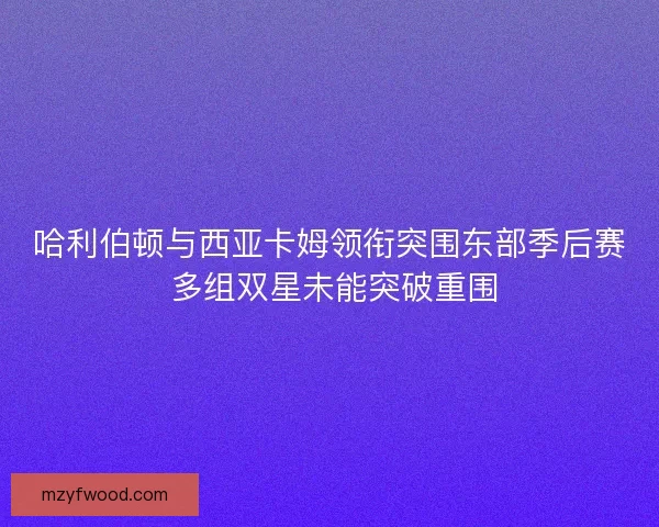 哈利伯顿与西亚卡姆领衔突围东部季后赛 多组双星未能突破重围