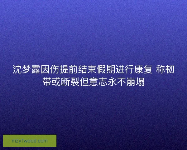 沈梦露因伤提前结束假期进行康复 称韧带或断裂但意志永不崩塌